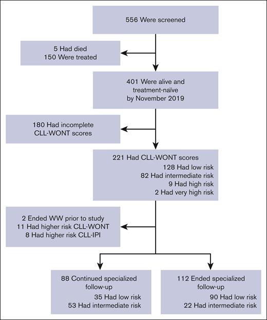 CONSORT diagram of ending and continuing WW. Among 556 screened patients, 200 patients with both CLL-IPI and CLL-WONT low-to-intermediate risk were included in the study; 112 patients ended and 88 continued sFU.