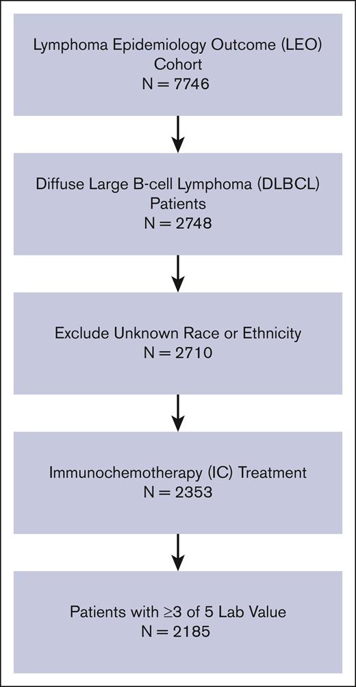 CONSORT diagram showing the study cohort selection from LEO cohort.