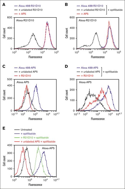 Effect of the LIBS mAb AP5 on the binding of R21D10 to αIIbβ3 and vice versa. Effect of AP5 on R21D10 binding to platelets. Untreated washed platelets (A) or eptifibatide-primed platelets (B) were preincubated with 40 μg/mL AP5 or unlabeled R21D10 for 15 minutes at room temperature, and then 10 μg/mL Alexa Fluor 488–labeled R21D10 was added for 15 minutes. The binding of Alexa Fluor 488–labeled R21D10 was detected using flow cytometry. (C) Washed platelets were preincubated with 40 μg/mL R21D10 or unlabeled AP5 for 15 minutes at room temperature, 10 μg/mL Alexa Fluor 488–labeled AP5 was added for 15 minutes, and the binding of AP5 was detected by flow cytometry. (D) Washed platelets were preincubated with 1 μM eptifibatide for 15 minutes at room temperature and then 40 μg/mL R21D10 or unlabeled AP5 was added to the platelets for 15 minutes, followed by the addition of Alexa Fluor 488–labeled AP5 for another 15 minutes. (E) Washed platelets were incubated with R21D10 for 15 minutes and then 1 μM eptifibatide was added. After 15 minutes, Alexa Fluor 488–labeled AP5 was added. The binding of AP5 was then detected using flow cytometry.