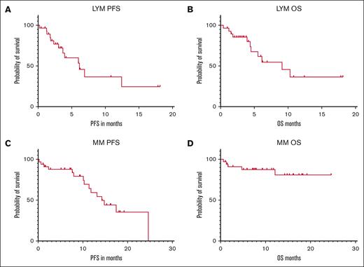 Outpatient CAR-T outcomes. (A) PFS of patients with lymphoma. (B) OS of patients with lymphoma. (C) PFS of patients with MM. (D) OS of patients with MM. LYM, lymphoma.