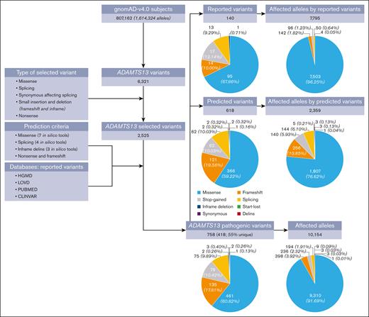 Flowchart of data analyses. The gnomAD data set includes 807 162 subjects (1 614 324 alleles). Among this population, 6321 distinct ADAMTS13 variants were identified, of which 2525 variants were short insertions/deletions and single-nucleotide variants. We applied our pathogenicity criteria (supplemental Table 2) to identify pathogenic variants among the 2525 variants. Overall, 758 distinct variants were classified as pathogenic; among them, 418 variants (55%) were identified in only 1 individual (ie, were unique). Of these 758 pathogenic ADAMTS13 variants, 140 had been previously reported to cause hTTP and 618 were newly predicted to be pathogenic. A total of 10 154 alleles were carrying these 758 pathogenic variants, 7795 (77%) reported variants and 2359 (23%) predicted variants. Missense variants were the most common form of the pathogenic variants (61%), and they were responsible for the majority of the 10 154 affected alleles by pathogenic variants (92%). A start-lost variant is a point mutation in the ATG start codon, which prevents the original start translation site from being used. A stop-gained is a DNA variant that changes at least 1 base of a codon, leading to a premature stop codon.