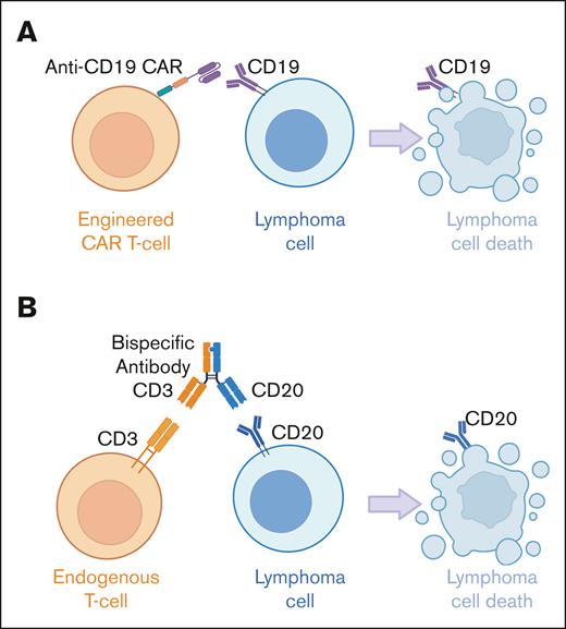 CAR T cells and BsAbs target lymphoma cells through distinct T-cell–mediated mechanisms of action. (A) Currently approved CAR T cells in B-cell lymphomas are generated from autologous T cells engineered to express an antigen receptor targeting CD19 on lymphoma cells, as well as a transmembrane spacer, a costimulatory domain, and an intracellular signaling domain, which together drive T-cell activation and ultimately lymphoma cell destruction. (B) Currently approved BsAb in B-cell lymphomas are off-the-shelf antibodies targeting CD3 on endogenous T cells and CD20 on lymphoma cells, bringing the 2 entities together to result in T-cell–mediated lymphoma cell death.