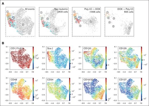 Jam3 conditional deletion before or after leukemic onset changes proportions of leukemic stem and progenitor cells. (A) UMAP projection of Lin−/c-Kit+ cells isolated from nonleukemic engrafted mice (nonleukemic) and from grafted mice treated sequentially with poly (I:C) followed by DOX (poly (I:C) -> DOX group); or treated sequentially with DOX followed by poly (I:C), (Dox -> poly (I:C) group). Five clusters numbered 1 to 5 are identified (left panel) and shown for each of the indicated experimental conditions. The number of Lin−/c-Kit+ cells used for analysis is indicated. (B) Projection of the indicated marker expression on Lin−/c-Kit+ cells used to calculate the UMAP shown in panel A. Sca-1+ compartment containing L-LT-HSCs and L-ST-HSCs belong essentially to clusters 1 and 2. Clusters 3 to 5 are Sca-1− and correspond to the LK compartment.