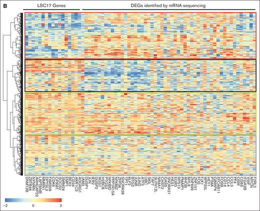 Genes from the LSC-17 score and AP-1/TNF-α signature belong to different clusters of coregulated genes in patients with AML. (A) Correlation plot showing expression of genes identified in this study and selected from Ng et al24 and Stavropoulou et al37 across samples from the TCGA cohort (n = 173). Color and size represent the direction and the magnitude of the correlation, respectively. Only correlations with P < .05 are shown. Two gene expression correlation clusters are underlined and conserved across cohorts (see also supplemental Figure 4). One cluster encompasses genes related to cell adhesion or migration (ITGA6, ZEB1, and JAM3) and genes from the LSC-17 score (cluster I). The second cluster contains number of genes upregulated in HSPCs isolated from JAM3–deficient leukemic mice (cluster II). (B) Heat map showing unsupervised patient sample clustering according to z score of genes belonging to the LSC-17 signature and DEGs from this study (supplemental Table 4) across samples from assembly of TCGA, OHSU, and Leucegene cohorts representing 871 AML samples at diagnosis. Four groups of samples can be visualized expressing respectively high or low levels of LSC-17 genes and high or low levels of DEGs identified in this study (AP-1/TNF-A1 signature). Groups of samples are underlined by red, black, green, and gray squares, respectively.