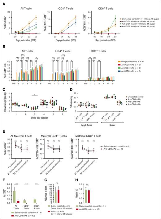 Targeted antibody treatment rapidly, transiently, and safely depletes T cells with no long-term detriment to T-cell function. (A) Short-term depletion. Anti-CD3 mAb administered after birth at 20 DPC depletes PB T cells to 0% of all CD45+ cells within 12 hours of administration. (B) Quantitative T-cell recovery. All T-cell populations recover to baseline frequency within 4 weeks of antibody treatment. (C) Weight gain. The treated animals demonstrated normal weight gain, despite antibody depletion. (D) In vivo MLR. After quantitative recovery, T cells proliferate normally when presented with a nonself MHC. (E) Maternal TCD. Anti-CD3 mAb administered to the fetus before birth at 16 DPC did not deplete T cells in the maternal blood, which remained at frequencies equal to that observed after fetal saline injection. Fetal injection with anti-CD3 mAb resulted in neonatal T-cell depletion measured at birth (F) without detriment to fetal survival to birth (G) or birth weight (H). ∗P < 0.05, ∗∗P < 0.01, ∗∗∗P < 0.001, ∗∗∗∗P < 0.0001. ns, not significant.