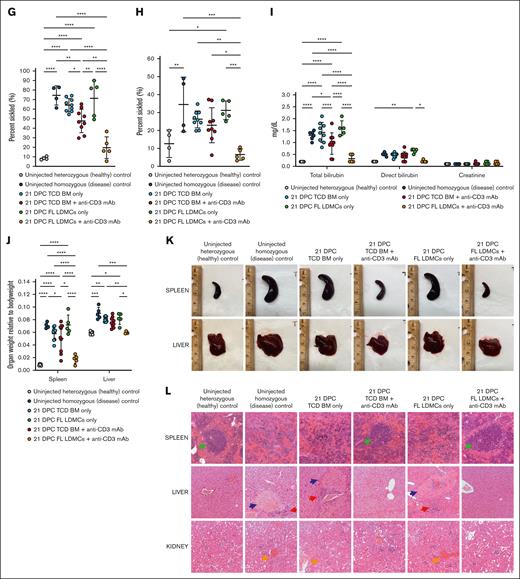 Transient T-cell depletion performed in the Townes model of SCD. (A) Donor leukocyte chimerism. Transient TCD achieved donor cell chimerism that was higher after transplantation with FL LDMCs than with TCD BM. (B) High-performance liquid chromatography. Shown is the percentage of hemoglobin (Hb) that is derived from Balb/c donor erythrocytes as opposed to the homozygous Townes recipient. A high level %Balb/c (donor) Hb is indicative of a high percentage of donor-derived erythrocytes in the PB. This was observed in some animals injected with TCD BM + anti-CD3 mAb and in all animals injected with FL LDMCs + anti-CD3 mAb. (C) Donor engraftment among BM LSK cells. BM LSK is a population enriched for HSCs. (D) Hb concentration. (E) Reticulocyte percentage. Anemia with an associated elevation in percentage reticulocyte is characteristic of untreated homozygous Townes mice. Both were improved after the injection of TCD BM + anti-CD3 mAb and fully corrected after the injection of FL LDMCs + anti-CD3 mAb. (F) Images of reticulocytes after ex vivo hypoxia. (G) Quantification of sickling after ex vivo hypoxia. Sickling was significantly reduced in neonates injected with TCD BM + anti-CD3 mAb and FL LDMCs + anti-CD3 mAb. (H) Quantification of sickling after in vivo hypoxia-reoxygenation. In vivo sickling was similarly reduced in neonates undergoing immune modulation at the time of transplantation. (I) Serum chemistry after in vivo hypoxia-reoxygenation. Uninjected homozygous mice demonstrate profound hyperbilirubinemia after in vivo hypoxia-reoxygenation due to erythrolysis and impaired liver function. This was significantly improved in the successfully treated mice. (J) Quantification of hepatosplenomegaly (HSM). Injection of FL LDMCs + anti-CD3 mAb prevented HSM in all recipients, whereas injection of TCD BM + anti-CD3 mAb prevented HSM in some but not all recipients. (K) Gross histology of the spleen and liver at terminal analysis. Healthy/corrected mice showed normal spleen and liver sizes with a smooth capsule. (L) Microscopic histology at terminal analysis. Shown are H&E preparations imaged at 10× original magnification. Diseased spleens showed significant expansion of the red pulp with pooling of sinusoidal erythrocytes and total loss of lymphoid follicular structure (green arrows). Healthy/corrected spleens showed normal splenic red and white pulps without pooling of sickle erythrocytes or infarcts. Diseased livers show focal areas of necrosis (blue arrows) and congestion of the intrahepatic vasculature with aggregates of sickled red blood cells (RBCs). Erythroid progenitors are evident in the sinusoid, consistent with extramedullary hematopoiesis (red arrows). There was also hemosiderin deposition resulting from Kupffer cell phagocytosis. In contrast, focal areas of necrosis and aggregation of sickled erythrocytes were not observed in healthy/corrected livers, and extramedullary hematopoiesis and hemosiderin deposition were absent. Diseased kidneys show engorgement and occlusion of blood vessels with sickled erythrocytes (orange arrows), resulting in vascular, tubular, and glomerular changes. Healthy/corrected kidneys appeared normal and free of disruptive vascular RBC pooling and hemosiderin deposition. ∗P < 0.05, ∗∗P < 0.01, ∗∗∗P < 0.001, ∗∗∗∗P < 0.0001.