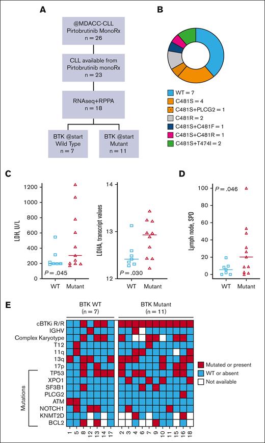 Study flowchart and baseline clinical characteristics of CLL patients. (A) Study flowchart. Of 23 eligible patients with CLL, 18 had adequate circulating cells for RNA sequencing and RPPA. All 18 experienced partial remission while receiving pirtobrutinib. (B) Mutation status at baseline. BTK and PLCG2 mutations were identified using targeted next-generation sequencing. (C) The LDH levels in peripheral blood samples (left) and log-transformed lactate dehydrogenase A (LDHA) transcript levels in patients with WT and mutated BTK (right) are shown. (D) Showing the lymph node size in the 18 patients. To obtain the lymph node sizes, electronic medical records were reviewed, and the sum of the products of the diameter was plotted. For statistical evaluation, Welch’s unpaired, 1-tailed t test was used. (E) OncoPrint data demonstrating the baseline clinical features and genomic alterations of patients with BTK-WT or -mutated CLL. The data were obtained from patients’ medical records. All patients received treatment at MD Anderson as part of the multicenter BRUIN trial and previously received cBTKi-based therapy. Data in panels C-E were obtained from patients’ electronic medical records before initiation of treatment with pirtobrutinib. In addition, the data in panel C were obtained using a human ProcartaPlex Human Cytokine/Chemokine/Growth Factor Panel 1 cytokine assay kit using plasma samples obtained at baseline. P values for comparisons by BTK mutation status were determined using Welch’s unpaired, 1-tailed t test. MDACC, MD Anderson Cancer Center; monoRx, monotherapy; pirto, pirtobrutinib; R/R, relapsed/resistant.