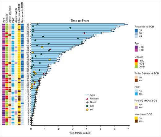 Swimmer plot of outcomes after SCB in all treated patients. Selected features evaluated as potential predictors of response to SCB (left). Clinical course of treated patients with outcomes (right). Response refers to hematologic response. Active disease refers to presence of nonmorphologic residual disease. Acute GVHD refers to the presence of any acute GVHD that onset before administering the SCB. AML, acute myeloid leukemia; MDS, myelodysplastic syndrome; NR, no response.