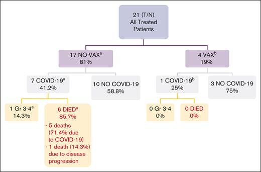 Impact of COVID-19 vaccine on patient outcomes.aAmong 17 patients who did not receive a COVID-19 vaccine, 7 contracted COVID-19. The dates of onset of COVID-19 infection were between 21 July 2020 and 9 April 2022, and the end dates of COVID-19 infection were between 5 August 2020 and 29 April 2022. Of the 7 patients who did not receive a COVID-19 vaccine and contracted COVID-19, 1 patient experienced grade 3 COVID; this patient received cefepime IV transfusion for 7 days and remdesivir IV transfusion for 4 days, and their COVID-19 resolved. The 6 other patients who did not receive a COVID-19 vaccine and contracted COVID-19 died; 5 deaths were due to COVID-19 and 1 death was due to disease progression. bAmong the 4 patients who received the COVID-19 vaccine, 1 patient received 3 doses of the Pfizer messenger RNA vaccine on 5 March 2021, 9 June 2021, and 7 January 2022, and then contracted grade 2 COVID-19 on 9 March 2022, which resolved on 20 March 2022. The other 3 patients did not contract COVID-19. Gr, grade; VAX, vaccination.