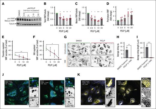 HUVEC exposed to PCLP for 16 hours exhibit a VWF trafficking defect. HUVEC were exposed to dimethyl sulfoxide (DMSO) or a range of concentrations of PCLP and incubated overnight (16 hours). (A) Immunoblotting of the resulting lysates displayed changes in pro-VWF and mature VWF in relation to tubulin. Densitometry indicated a decrease in total VWF (B) and mature-VWF levels (C) alongside a dose-dependent increase in the ratio of pro/mature VWF (D). n = 4 Ratio paired t test. ∗P < .05; ∗∗P < .01; ∗∗∗P < .005 (E) 16-hour incubation with PCLP resulted in inhibition of regulated secretion of VWF in response to thrombin and (F) HAI. (G) HUVEC preincubated with DMSO or PCLP for 16 hours were stimulated with HAI for 10 minutes before application of 5 dyne/cm2 shear stress. VWF strings were visualized by immunofluorescence and confocal microscopy. (H-I) The number (H) and length (I) of VWF strings secreted under flow in response to HAI in the presence or absence of DMSO or PCLP (n = 3). (J) IF analyses using anti-LAMP1 (green) and anti-VWF (blue) antibodies indicated numerous VWF positive lysosomes in PCLP-treated cells. (K) IF analyses using anti-TGN46 (yellow) and anti-VWF (blue) antibodies indicated a gross defect in TGN morphology (fragmented and swollen) in PCLP-treated cells. Scale bars, 10 μm. Inset scale bars, 1 μm.