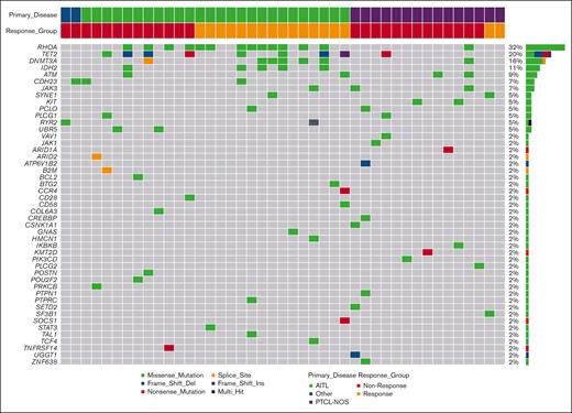 Oncoplot of known somatic and possible somatic variants in All PTCL cohort (n = 43). Only genes with at least 1 mutation are on the oncoplot. The y-axis on the right of the histogram displays frequency and number of samples for each gene; the x-axis displays the type of mutation. No obvious distribution pattern of mutations within the response groups.
