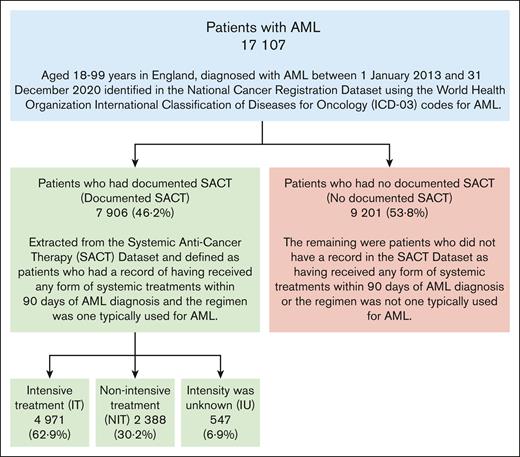 Patients included in analysis.