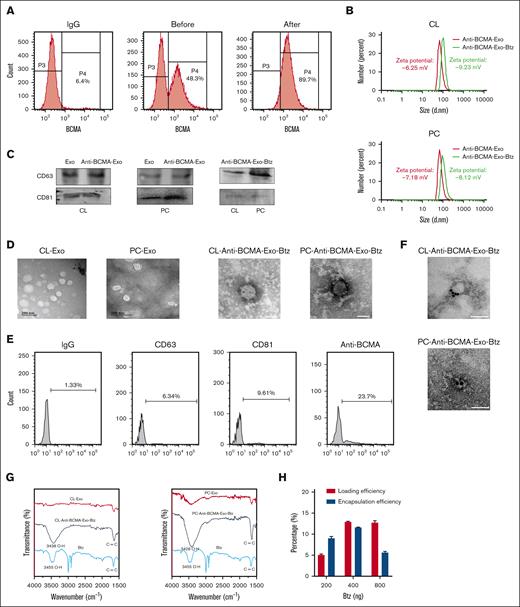 Characterization of anti-BCMA-Exo-Btz. (A) Flow sorting of anti-BCMA+ monocytes. (B) Size distribution of anti-BCMA-Exo and anti-BCMA-Exo-Btz determined by dynamic light scattering. (C) CD81 and CD63 expressions of anti-BCMA-Exo and anti-BCMA-Exo-Btz by western blot. (D) Representative transmission electron microscopy image of anti-BCMA-Exo and anti-BCMA-Exo-Btz. (E-F) The expression of anti-BCMA on the surface of anti-BCMA-Exo-Btz membrane was detected by nano-flow cytometry (E) and colloidal gold immunoelectron microscopy (F). Scale bar, 100 nm. (G) The loading of Btz into exosomes was detected by fourier transform infrared spectrometer. (H) The loading efficiency and encapsulation efficiency of Btz into exosomes.
