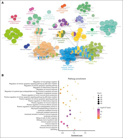 Proteomic analysis of monocyte-derived exosomes. (A) The GeneMANIA database was adopted for protein interaction analysis of the protein in monocyte-derived exosomes. (B) The protein in monocyte-derived exosomes were enriched in pathways.