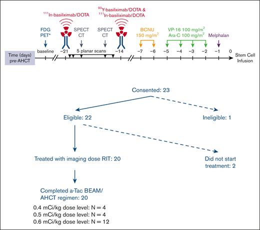 Treatment schema and CONSORT diagram.