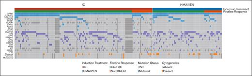 Molecular and cytogenetic profile and response for patients with NPM1-mutant AML treated with intensive chemotherapy and HMA/VEN. An oncoprint shows the molecular and cytogenetic profile and response for patients with NPM1-mutant AML treated with intensive induction chemotherapy and HMA/VEN. Only mutations present in at least 2% of the patient cohort and evaluated in at least 66% of patients were included.