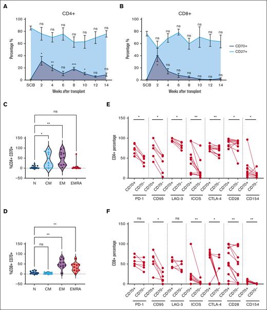 Frequency and phenotype of CD70+ T cells in blood after allo-SCT. (A-B) Frequency of circulating CD70+ (dark blue) and CD27+ (light blue) T cells in the blood at 2-week intervals after allo-HSCT during early immune reconstitution until 14 weeks (3 months, n = 14) within the CD4+ (A) and CD8+ (B) T-cell compartments. Distribution of naïve (N), central memory (CM), effector memory (EM), and EM-like CD45RA+ EMRA cells within the CD4+CD70+ (n = 11) (C) and CD8+CD70+ (n = 11) (D) T cells, identified using cell surface expression of CD45RA and CCR7. (E-F) Cell surface expression of PD-1 (n = 6), CD95 (n = 6) and LAG-3 (n = 6), ICOS (n = 13), CTLA-4 (n = 13), CD28 (n = 13), and CD154 (n = 13) on CD70+ and CD70– population as percentages within the CD4+ (E) and CD8+ (F) T-cell populations in blood at 2 weeks (day 14) after allo-HSCT. Statistical comparisons were performed using 1-way analysis of variance (ANOVA) with Dunn multiple comparison test (A-D) or Wilcoxon matched-pairs signed-rank test (E-F): ns, not significant; ∗P < .05; ∗∗P < .01; ∗∗∗P < .005. CTLA-4, Cytotoxic T-lymphocyte associated protein 4; EMRA, Terminally differentiated effector memory cells re-expressing CD45RA.