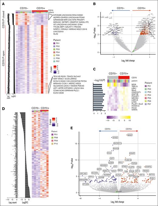 Chromatin accessibility and transcriptional profile of CD70+ T cells in GVHD. (A) Profile of differentially accessible chromatin (DAC) loci between sorted CD70+ and CD70– T cells from the blood of patients with aGVHD (n = 7). DACs were ranked by CD70+ vs CD70– fold change, and gene labels represent the loci-associated gene annotations for the top 30 CD70+ open and CD70+ closed sites. (B) Pairwise comparisons of chromatin accessibility at peak regions. The x-axes indicate Log2 fold change, and the y-axes indicate unadjusted –Log10P value of all peaks. Colored points indicate DAC sites, with inaccessible sites as blue and accessible sites as red. (C) TF motif scores are shown in the heat map plot, based on the motifs of TFs enriched within the differentially accessible peaks in each sample. (D) Profile of differentially expressed genes (DEGs) between CD70+ and CD70– T cells from blood of patients with aGVHD (n = 4) ranked by fold change. (E) Pairwise comparison of gene expression in CD70+ vs CD70– cells showing –Log2P value vs Log2 fold change of all genes. Colored points indicate DEGs that are downregulated (blue) and upregulated in CD70+ (red).