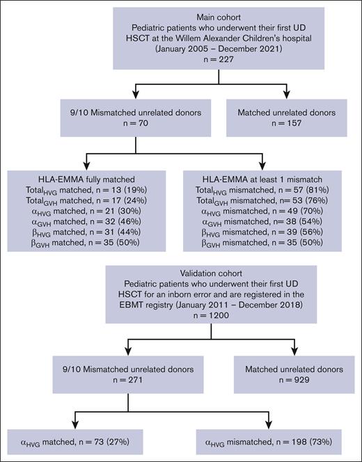 Flowchart of the inclusion and exclusion of the patient and control groups.