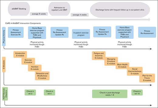 Timeline of the intervention components. Rx, prescription. Adapted from Tam et al.19