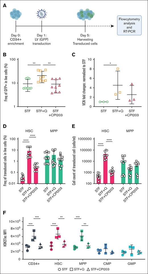 Quisinostat increases LV transduction efficiency. (A) Schematic experimental design. CD34+ cells were transduced with LV-GFP 24 hours after stimulation in cytokine-supplemented medium alone or the presence of quisinostat (0.5 nM) or CPI203 (150 nM). Cells were harvested for flow cytometry analysis, DNA isolation, and reverse transcription polymerase chain reaction (RT-PCR), 4 days after transduction. (B) Frequency of GFP+ 4 days after transduction in live cells (n = 9; mean ± SD). (C) VCN was determined by RT-PCR (n = 3; mean ± SD; ∗P < .05; unpaired t test). (D) Frequency of transduced HSCs and MPPs in the indicated culture conditions are shown (n = 9; mean ± SD). (E) Cell counts of transduced HSCs and MPPs (n = 9; mean ± SD). (F) The plot shows the mean fluorescence intensity of H3K27ac in different populations of expanded cells in the indicated culture conditions (n = 3; mean ± SD). Statistical significance was determined by 2-way ANOVA test with multiple comparisons: ∗P < .05; ∗∗P < .01; ∗∗∗P < .001; ∗∗∗∗P < .0001. H3K27ac, acetylation level of lysine 27 on histone 3.