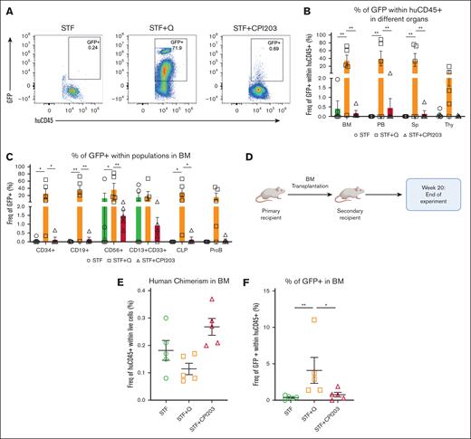 Quisinostat supports better engraftment of transduced cells in vivo. (A) Representative FACS plots of BM at 20 weeks after transplantation in primary mice. (B) Frequency of GFP+ cells in different organs (n = 5 mice per group; mean ± SEM; ∗∗P < .01). Statistical significance was calculated using 2-way ANOVA and multiple comparisons. (C) Frequency of transduced populations within huCD45+ in the BM at 20 weeks after transplantation in primary NSG mice (n = 5 mice per group; mean ± SEM; ∗P < .05, ∗∗P < .01). Statistical significance was calculated by 2-way ANOVA and multiple comparisons. (D) Schematic design of the secondary transplantation into NSG mice. (E) Human chimerism in the BM at 20 weeks after transplantation (n = 5 mice per group; mean ± SEM). Statistical significance was calculated using the Mann-Whitney test. (F) Frequency of transduced cells (GFP+) in the BM (n = 5 mice per group; mean ± SEM; ∗P < .05, ∗∗P < .01). Statistical significance was calculated using the Mann-Whitney test. CLP, common lymphoid progenitor.