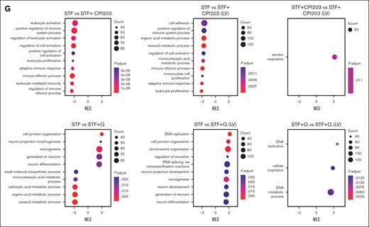 Single-cell transcriptome analysis reveals quisinostat and CPI203 maintain HSCs upon LV transduction in CD34+. (A) Schematic experimental design. (B) Mock-up schematic of cell-type projection. (C) Uniform manifold approximation and projection for dimension reduction (UMAP) plots of unstimulated CD34+ cells and integrated UMAP for all conditions. (D) UMAP displaying HSCs for each condition. (E) The bar plot represents population distribution. (F) Violin plots displaying the expression levels of selected HSC surface marker genes in the indicated conditions. (G) Gene set enrichment analysis and molecular processes of various conditions interrogated by scRNA-seq. LMPP, lymphoid multipotent progenitor; MEP, megakaryocyte-Eryth progenitor; ML, myeloid-lymphoid progenitor; Mono, monocyte.