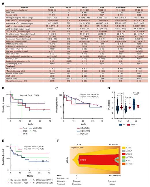 Clinical characterization of ETNK1-mutated MNs. (A) Table summarizing the clinicopathologic features of 28 patients with pathogenic mutations at the time of NGS (patients with VUS not included). (B) Kaplan-Meier survival curves of patients grouped by disease category. (C) Kaplan-Meier survival curves comparing patients with ETNK1-mutated MDS (n = 10) vs ETNK1 wild-type MDS (n = 98). (D) IPSS-M scores of patients with wild-type (n = 85) vs ETNK1-mutated MDS (n = 13; LB = 9 and EB = 4) at time of initial NGS. (E) Kaplan-Meier survival curves comparing patients that underwent HCT vs patients who did not. (F) Fishplot showing the clonal evolution of ETNK1 over serial NGS samples. ∗The targeted therapies in our cohort included venetoclax, ruxolitinib, and imatinib. AEC, absolute eosinophil count; AMC, absolute monocyte count; ANC, absolute neutrophil count; EB, excess blast; HMA, hypomethylating agent; LB, low blasts; LDH, lactate dehydrogenase; PATH, pathogenic; PB, peripheral blood; RS, ring sideroblast; WBC, white blood cell.