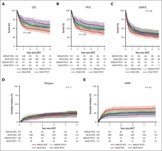 Outcomes of patients with MDS transplanted with PTCY vs ATG. (A) OS was 60% (95% CI, 52-72) for patients who underwent a MUD transplant and received PTCY, 53% (95% CI, 42-63) for patients who underwent a MMUD transplant and received PTCY, 52% (95% CI, 48-57) for patients who underwent a MUD transplant and received ATG, and 41% (95% CI, 34-49) for patients who underwent a MMUD transplant and received ATG (P = .004). (B) PFS was 56% (95% CI, 45-67) for patients who underwent a MUD transplant and received PTCY, 49% (95% CI, 38-60) for patients who underwent a MMUD transplant and received PTCY, 46% (95% CI, 42-51) for patients who underwent a MUD transplant and received ATG, and 37% (95% CI, 30-44) for patients who underwent a MMUD transplant and received ATG (P = .007). (C) GRFS was 35% (95% CI, 25-45) for patients who underwent a MUD transplant and received PTCY, 36% (95% CI, 25-46) for patients who underwent a MMUD transplant and received PTCY, 32% (95% CI, 28-37) for patients who underwent a MRD transplant and received ATG, and 26% (95% CI, 19-33) for patients who underwent a MMUD transplant and received ATG (P = .09). (D) RI was 22% (95% CI, 12-31) for patients who underwent a MUD transplant and received PTCY, 23% (95% CI, 14-32) for patients who underwent a MMUD transplant and received PTCY, 26% (95% CI, 22-29) for patients who underwent a MUD transplant and received ATG, and 24% (95% CI, 18-31) for patients who underwent a MMUD transplant and received ATG (P = .7). (E) NRM was 22% (95% CI, 14-30) for patients who underwent a MUD transplant and received PTCY, 28% (95% CI, 19-37) for patients who underwent a MMUD transplant and received PTCY, 28% (95% CI, 24-32) for patients who underwent a MUD transplant and received ATG, and 39% (95% CI, 32-46) for patients who underwent a MMUD transplant and received ATG (P = .009) when stratified by donor type (MUD vs MMUD). Numbers below the graph show the number of patients at risk.