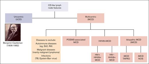 Current classification of CD. NOS, not otherwise specified; RA, rheumatoid arthritis; SLE, systemic lupus erythematosus; TAFRO, thrombocytopenia, anasarca, fever, reticulin fibrosis, and organomegaly; TB, tuberculosis.