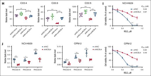 MMSET enhances ferroptosis susceptibility by regulating ACSL4. (A-B) MMSET and ACSL4 protein levels were evaluated in primary plasma cells from patients with t(4;14)-positive and -negative MM using immunohistochemistry (scale bar: 25 μm) (A) and western blotting (B). (C) MMSET and ACSL4 expression levels were analyzed using western blotting (C) in the groups of NCI-H929 and OPM-2 cells with MMSET knockdown (shM) or not (shNC). (D) The relative dual-luciferase activity of NCI-H929 and OPM-2 cells with MMSET knockdown (shM) or without (shNC) with subsequent transfection with wild-type ACSL4 promotor or blank control for 48 hours. (E) Schematic diagram of the primer pair location in the ACSL4 promoter is shown in the top of the figure. OPM-2 cell lysates were used for ChIP assays with MMSET antibodies. ChIPs and input DNA were analyzed using qPCR for both the MMSET knockdown (shM) and negative control (shNC) groups. P1 to P3, primer pairs. (F-G) Relative cell viability (F) and lipid ROS levels (G) of NCI-H929 and OPM-2 cells with or without co-transfection with MMSET shRNA (shM) and ACSL4 overexpression (oeACSL4) constructs after 48 hours with subsequent treatment with RSL3 at the indicated concentrations for 24 hours. (H) Relative levels of PUFAs in OPM-2 cells with MMSET/ACSL4 co-transfection determined using Gas Chromatography-Mass Spectrometry (n = 6). (I) Relative cell viability of NCI-H929 and OPM-2 cells with or without ACSL4 knockdown treated with RSL3 for 24 hours. The IC50 analysis was conducted using GraphPad software 8.0. (J) Metabolomics analysis of NCI-H929 and OPM-2 cells with or without ACSL4 knockdown (n = 5). ns, not significant; TSS, transcription start site. P > .05, ∗ P <0 .05, ∗∗ P < .01, and ∗∗∗ P < .001.