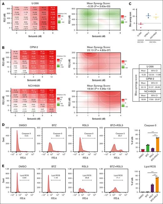 RSL3 and BTZ synergistically induce t(4;14)-positive but not t(4;14)-negative MM cell death. (A-B) Dose-response matrices of t(4;14)-negative U-266 (A) and t(4;14)-positive NCI-H929 and OPM-2 cells (B) treated with a range concentration of BTZ and/or RSL3 for 24 hours. (C) Bliss synergy scores of t(4;14)-positive NCI-H929 and OPM-2 cells and t(4;14)-negative U-266 cells were plotted for 3 independent experiments. The mean Bliss synergy score and 95% confidence interval (CI) for each cell line are shown in the right table. (D-E) Caspase-3 (D) or lipid ROS (E) levels of t(4;14)-positive NCI-H929 cells treated with 1 nM BTZ and/or 0.2 μM RSL3 for 24 hours analyzed by flow cytometry. ∗∗∗ P < .001.