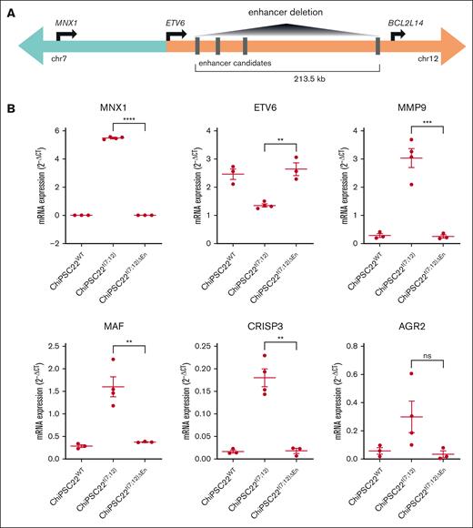 Molecular validation of enhancer-promoter interaction in ChiPSC22t(7;12) upon differentiation. (A) Scheme of the enhancer deletion experiment performed to validate the interaction between the MNX1 promoter and enhancers distal to the BP. (B) Gene expression in HSPCs derived from ChiPSC22WT (n = 3), ChiPSC22t(7;12) (n = 4, from 2 independent cell lines), and ChiPSC22t(7;12)ΔEn (n = 3, from 2 independent cell lines) measured via qRT-PCR and shown as 2−ΔCt vs GUSB as endogenous reference. ∗∗∗∗P < .0001; ∗∗∗P < .001; ∗∗P < .01; ∗P < .05. ns, not significant.