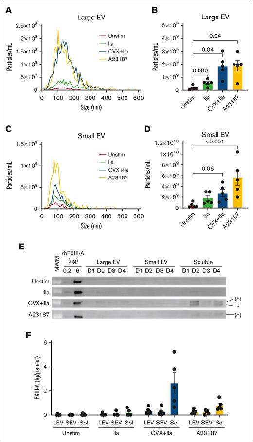 Released FXIII-A is mainly free protein. Washed human platelets were unstimulated (Unstim) or stimulated with thrombin (IIa), CVX plus thrombin (IIa), or A23187 for 30 minutes at 37°C. The reaction mixture was then quenched and centrifuged serially to separate the pellet and releasate and then large EVs, small EVs, and remaining soluble fraction (free proteins), as described in the “Methods” and illustrated in supplemental Figure 5. (A-D) Nanoparticle tracking analysis of size distribution and enumeration of large EVs (A-B) and small EVs (C-D). (E) Representative immunoblots of FXIII-A in large EVs (pellet of 20 000g, 15 minutes), small EVs (pellet of 100 000g, 70 minutes), and soluble fraction (supernatant of 100 000g, 70 minutes) from 4 of the donors (D) studied; rhFXIII-A is recombinant human FXIII-A loading control; the band in the MWM lane indicates 100 kDa. FXIII-A species are labeled on the right of the immunoblot as (O) (representing zymogen FXIII-A or nonproteolytically activated FXIII-A°) and ∗ (representing FXIII-A∗). (F) Quantification of FXIII-A in large EVs (LEVs), small EVs (SEVs), and soluble proteins (Sol). The data show mean ± SEM of 5 separate donors; each dot represents a separate donor.