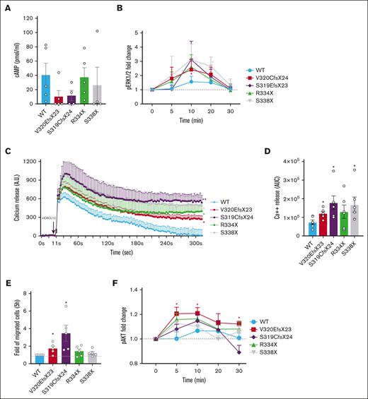 Functional assays in CXCR4 variants: enhanced receptor activation and prolonged intracellular signaling. (A) cAMP production was determined in stable NALM6 cells expressing WT CXCR4 (CXCR4WT) or CXCR4 variants, after 30 minutes of stimulation in the presence of CXCL12; data represent mean ± standard error of the mean (SEM) of 4 independent experiments. (B) NALM6 cells were serum starved for 4 hours and stimulated with 100 nM rhCXCL12 for 10, 20, or 30 minutes, and ERK1/2 phosphorylation (T202/Y204) was measured by flow cytometry and represented as mean fluorescent intensity (MFI) fold change from baseline. Values represent mean ± SEM of 5 independent experiments. Comparisons are made to WT. ∗P < .05 (2-tailed unpaired Students t test). (C) Calcium mobilization was determined in WT and CXCR4 mutant NALM6 cells. Measurements were taken every second before and after ligand binding, for 2 minutes. Values represent mean ± SEM of 3 experimental triplicates of 5 independent experiments. (D) Right panel shows the area under the curve (AUC) of calcium mobilization, calculated for each cell line. ∗P < .05; ∗∗P < .01 (2-tailed unpaired Student t test). (E) Chemotaxis assay in transwells. Data show the fold of migrated cells to the lower chamber for 4 hours compared with WT. (F) NALM6 cells were serum starved for 4 hours and stimulated with 100 nM rhCXCL12 for 10, 20, or 30 minutes, and AKT phosphorylation (S473) was measured by flow cytometry and represented as MFI fold change from baseline. Values represent mean ± SEM of 5 independent experiments. Comparisons are made with WT. ∗P < .05; ∗∗P < .01 (2-tailed unpaired Student t test).