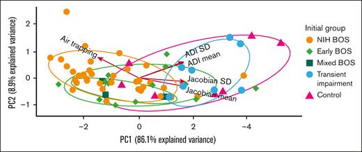 PCA of strain metrics from initial CT chest show early BOS has qCT values intermediate between NIH-BOS and controls or transient impairment. PC1 is the first principal component. PC2 is the second principal component. Each arrow represents a strain metric, with the arrow direction representing its contribution to a PC and the arrow length representing the magnitude of its contribution to the statistical variance of the data set. Each ellipse is the normal probability for the group. The units of each axis are a composite of linear combinations of the original strain metrics.
