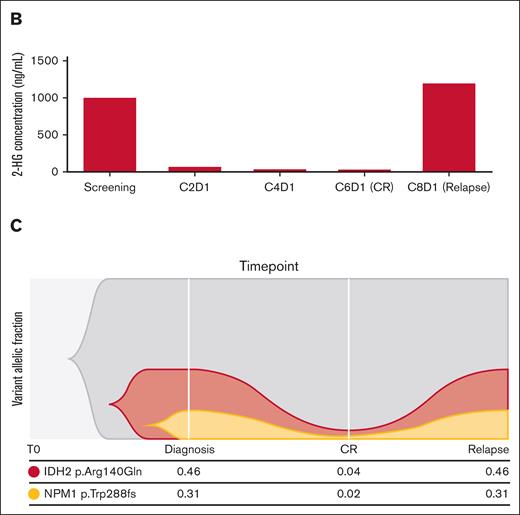 Correlates of treatment response and resistance. (A) Serial bone marrow aspirate samples analyzed using multiparameter flow cytometry visualized using t-distributed Stochastic Neighbor Embedding (t-SNE) plots generated by Cytobank. (B) Correlating 2-HG data from serial plasma samples. (C) Serial bone marrow aspirate samples taken at baseline, CR and relapse were analyzed using the ArcherDX’s FusionPlex Myeloid and VariantPlex Myeloid panels.
