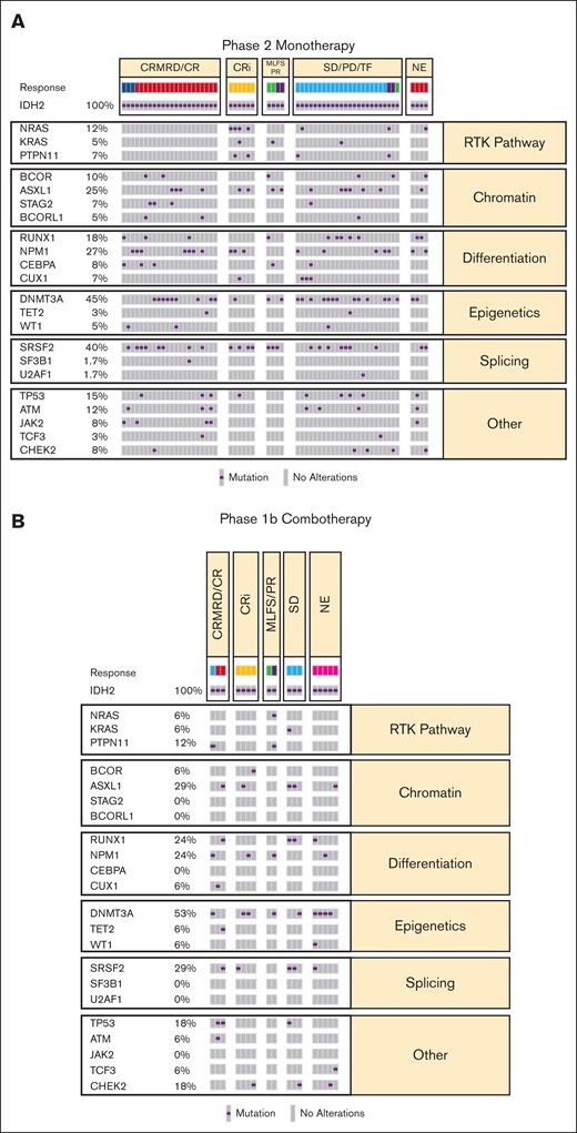 Molecular correlates of response. Baseline mutations identified using the FoundationOne Heme panel and grouped by responses during phase 2 (A) or phase 1b (B). CRMRD, CR without minimal residual disease; MLFS, morphologic leukemia-free state; NE, not evaluated; PD, progressive disease; PR, partial remission; SD, stable disease; TF, treatment failure.