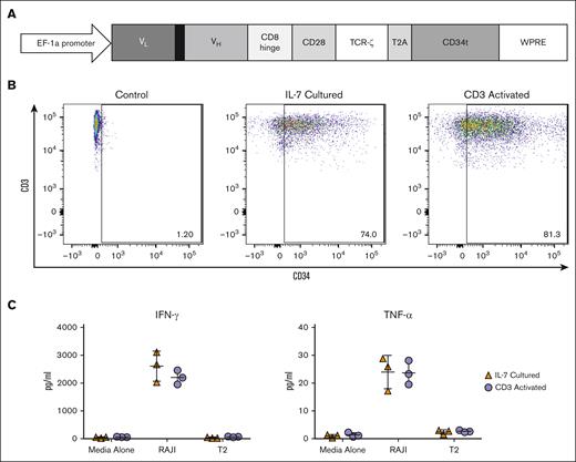Transduction of PBLs with a lentiviral vector containing a CD19 CAR. (A) A diagram of the CD19 CAR, consisting of the variable region light chain (VL) and heavy chain (VH) of the single chain variable fragment (scFv), CD8 hinge domain, CD28 costimulatory molecule, and TCR-ζ signaling domain attached to a truncated CD34 molecule (CD34t) with a T2A self-cleaving peptide inserted into the pLVX-E1a-N1 lentiviral vector. (B) Flow cytometry analysis of CD3+ cells transduced with the CD19 CAR-containing lentiviral vector either after no treatment, IL-7 culture, or CD3 activation. These results are representative of 10 experiments using cells from 10 different donors. (C) CD19 CAR T cells transduced either after IL-7 treatment or CD3 activation were cocultured with CD19+ Raji cells in a 1:1 ratio. CD19 CAR T cells cultured with T2 or media alone were used as negative controls. IFN-γ and TNF-α release in supernatants were measured by ELISA. Graphs depict 3 experiments using 3 different donors with each data point representing the triplicate mean and error bars indicating standard deviation. ELISA, enzyme-linked immunosorbent assay; IFN-γ, interferon gamma; TCR, T cell receptor; TNF-α, tumor necrosis factor α; WPRE, woodchuck hepatitis virus posttranscriptional response element.