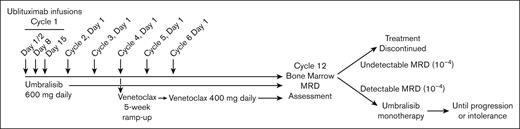 Treatment schematic for patients with CLL at phase 2 dose. Patients received ublituximab infusions on day 1, 2, 8, and 15 of cycle 1, followed by a single infusion every 28 days on day 1 of cycles 2 to 6. Umbralisib was administered daily for cycles 1 to 12. Venetoclax was initiated on day 1 of cycle 4 with 5-week ramp-up and continued at target dose of 400 mg daily until the conclusion of cycle 12. Patients with undetectable MRD after cycle 12 discontinued treatment. Patients with detectable MRD continued umbralisib monotherapy until intolerance or progression.