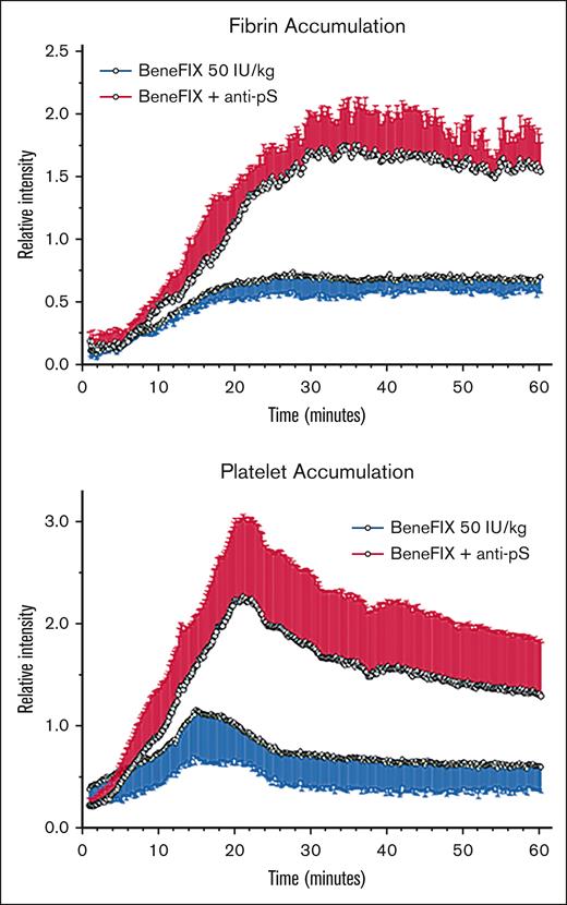 Relative intensities of thrombus-targeting fluorophores in femoral veins of FIX-deficient mice after electrolytic injury, showing fibrin (top graph) and platelet (bottom graph) accumulation during 60 minutes of thrombogenesis. Data points are from image analysis of video frames taken every 10 seconds, showing means and standard deviations (error bars), normalized for mouse weight and amount of preinjected fluorophore. Red lines show accumulation for mice preinjected with rFIX and PS antibody, and blue lines are for mice preinjected with rFIX only.