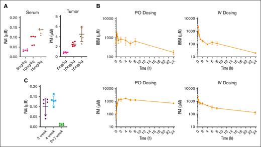 Mouse pharmacokinetic study of PA4. (A) PA4 concentration in serum and tumor tissues after the 14 day PA4 treatment in NSG mice shown in Figure 5. Data are shown as mean with SD. (B) Mean plasma concentration-time profiles of BBM (top) and PA4 (bottom) in Institute of Cancer Research mice after IV and oral administrations (n = 3). (C) PA4 concentration in serum from mice that received oral gavage with PA4 for 2 weeks, 4 weeks, or 2 weeks plus 2 weeks without treatment.