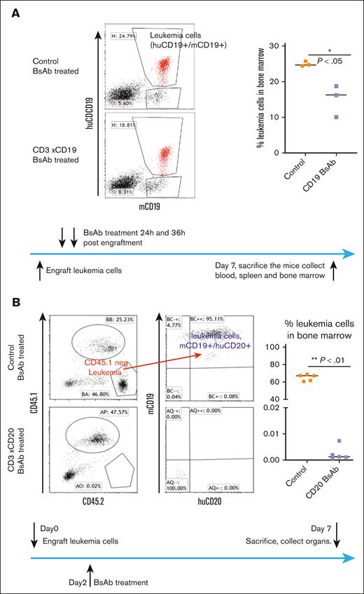T-BsAb treatment demonstrated therapeutic efficacy against leukemia cells expressing the corresponding human antigens in huCD3-Tg mice. (A) huCD3-Tg mice were engrafted with huCD19+ E2A-PBX1 cells. On day 2, mice were injected twice with blinatumomab. Leukemia cell burden in the bone marrow were evaluated on day 7. Leukemia cells were identified as cells double positive for both CD19 and huCD19. Left: representative FACS plot. Right: scatter plot showing individual data points and the median. (B) huCD3/20 dual transgenic mice (bred to express CD45.1) were engrafted with huCD20 expressing E2A-PBX1 cells. Two days later, mice were injected with CD20 X CD3 T-BsAb and were then euthanized at day 7. Leukemia cell burden in the bone marrow was evaluated. Leukemia cells were identified based on negative staining for congenic marker CD45.1 and for being double positive for both CD19 and huCD20. Left: representative FACS plot. Right: scatter plot showing individual data points and the median.