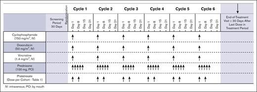Part 2 treatment schedule: six 21-day cycles.