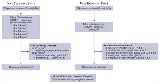 Patient disposition. SCT, stem cell transplant.