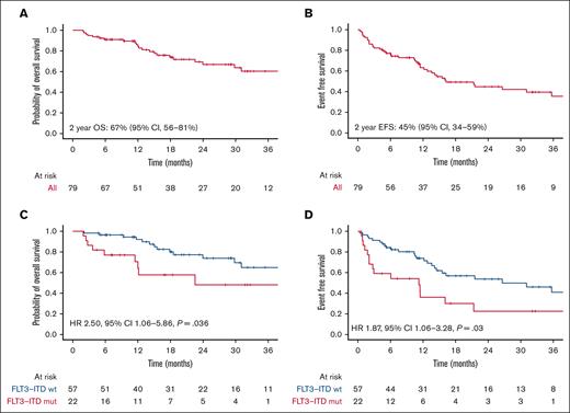 Outcomes in the whole cohort and by FLT3-ITD status. (A) OS and (B) EFS in patients treated with venetoclax combinations. (C) OS and (D) EFS depending on FLT3-ITD status at diagnosis.