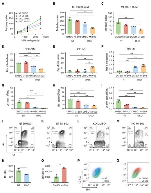 Combined IGF2BP3 knockdown and menin inhibition increases differentiation of MLL-Af4 leukemia. (A) Total colony numbers of MI-503–treated MLL-Af4 Lin– cells, depleted (I3KO) or nondepleted (NT) for IGF2BP3. MLL-Af4 Lin– NT and I3KO cells were treated with MI-503 0.5 μM for 4 days and seeded in methylcellulose colony formation assays at various initial seeding densities and cultured for 10 days. (B,C) Total colony number was reduced with both I3KO and MI-503 treatment at 0.5 μM (B) and 0.5 μM (C) in methylcellulose colony formation assays at initial seeding density of 2500. (D) Proportion of CFU-GM colonies are decreased with both I3KO and MI-503 (at 0.5 μM). (E-F) Proportion of CFU-G and -M colonies are increased with both I3KO and MI-503 (at 0.5 μM). (G-I) Lin–, c-kit+, and Lin–c-kit+ cells are decreased with both I3KO and MI-503. MLL-Af4 Lin– NT and I3KO cells were treated with MI-503 0.5 mM for 7 days and then analyzed by flow cytometric immunophenotyping; mean ± SD, n = 3; 1-way ANOVA with Bonferroni multiple comparison’s test (∗P < .05; ∗∗P < .01; ∗∗∗P < .001; ∗∗∗∗P < .0001). (J-M) Corresponding representative flow cytometry plots of MLL-Af4 Lin– NT and I3KO cells treated with MI-503 (or DMSO control), showing expression of c-kit and Lin markers. (N) Decreased CD34 expression by mean fluorescence intensity with I3KO; mean ± SD; n = 3; student t test, ∗P < .05. (O) Decreased CD16/32 expression by mean fluorescence intensity with MI-503 treatment; mean ± SD; n = 3; Student t test, ∗∗P < .01. (P-Q) Corresponding representative flow cytometry plots of MLL-Af4 Lin– NT and I3KO cells treated with MI-503 (or DMSO control), showing expression of CD16/32 and CD34. CFU-GM, granulocyte-macrophage colony-forming units; CFU-G, granulocyte colony-forming units; CFU-M, macrophage colony-forming units; MFI, mean fluorescence intensity; prop, proportion.