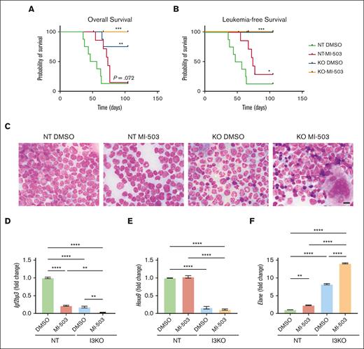 Combinatorial inhibition of menin-MLL and IGF2BP3 increases survival in vivo and is accompanied by concordant changes in gene expression. (A-B) Increased overall survival and leukemia survival with IGF2BP3 knockdown and MI-503 treatment in NT groups (n = 8 mice per group; Kaplan-Meier with log-rank test, ∗P < .05; ∗∗P < .01; ∗∗∗P < .001). Comparisons made vs NT DMSO. Follow-up to 15 weeks with terminal sac of remaining mice. (C) Photomicrographs of Wright-stained BM smears from mice as above; original magnification, ×1000; scale bar, 10 μm. (D-F) Expression of genes of interest in the BM of mice that received transplantation with MI-503–treated MLL-Af4 Lin– NT or I3KO cells was measured by qRT-PCR. MLL-Af4 Lin– cells depleted (I3KO) or nondepleted (NT) for IGF2BP3 were treated with MI-503 0.5 mM (MI-503) or carrier control (DMSO) for 5 days in vitro before transplantation. Mice were euthanized at 8.5 weeks at first signs of the first mouse developing terminal leukemia. Gene expression data shown from selected mice in each group. Shown as fold change from NT DMSO (mean ± SD; n = 2; 1-way ANOVA with Bonferroni multiple comparisons test, ∗P < .05; ∗∗ P < .01; ∗∗∗P < .001; ∗∗∗∗ P < .0001).