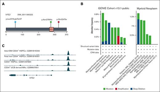 NFE2 somatic mutations in FPDMM and hematologic malignancies. (A) Lollipop plot of NFE2 somatic mutations in NIH FPDMM cohort. Based on ACMG criteria, both nonsense mutations are LP (p.Leu57ArgfsTer27: PVS1 and PM2; p.Gln324Ter: PVS1 and PM2). The missense mutation, p.Asn276His, is considered as a VUS (PP3, PM2, and BP1) based on the PhyloP100way score but pathogenic according to in silico prediction (P/LP: 21/27; uncertain: 6/27). (B) Somatic alteration frequency of NFE2 gene in AACR GENIE data set and cBioportal myeloid neoplasm data set. (C) ChIP-seq data on RUNX1 binding in NFE2 locus in CD34+ cells from 4 publicly available data sets.37-39 Binding profile data were downloaded from CODEX database.40 AACR GENIE, American Association for Cancer Research Genomics Evidence Neoplasia Information Exchange; HSPCs, hematopoietic stem and progenitor cells; UCB, umbilical cord blood.