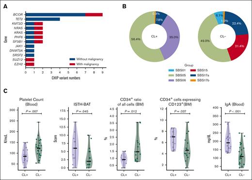 CHIP gene mutations in the NIH FPDMM cohort. (A) Bar graph showing the numbers of somatic mutations detected in 74 CHIP genes listed in the TOPMed study.27 Only those with VAF>5% are included. (B) Mutation signatures43 in patients with or without somatic mutations in the CL gene list. (C) Clinical phenotypes with significant difference between patient groups with or without somatic mutations in the CL gene list.